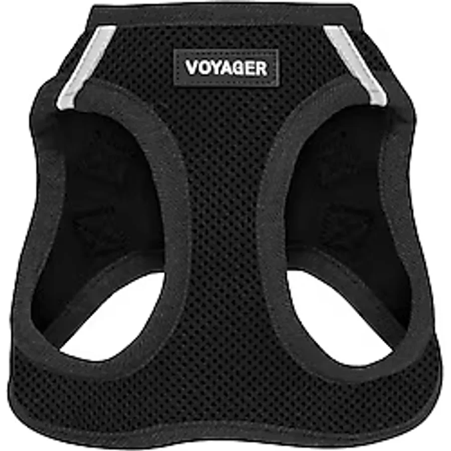 Voyager Step-In Air Köpek Koşum Takımı - Best Pet Supplies Black, XS tarafından Küçük ve Orta Ölçekli Köpekler için Yeleğe Tüm Hava Mesh Basamağı
