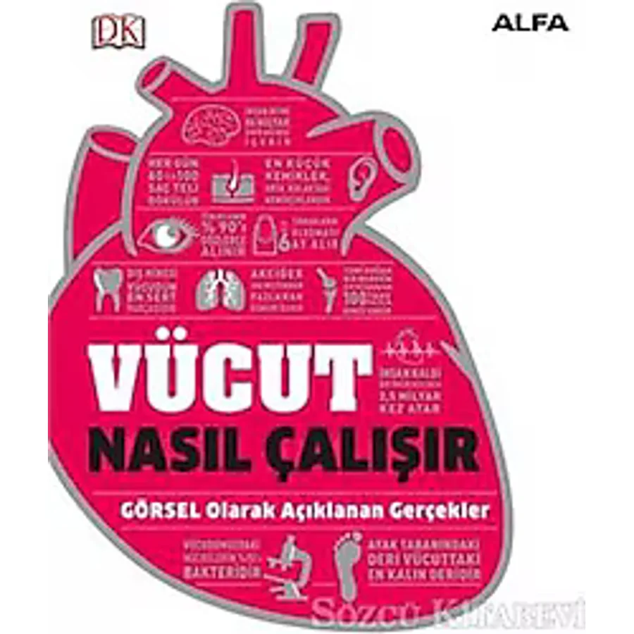 Vücut Nasıl Çalışır - Kolektif