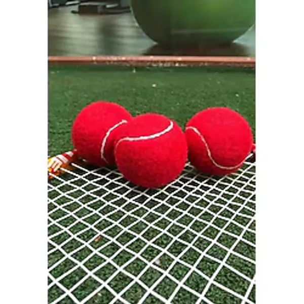 Werkon 3 Adet Antrenman Tenis Topu Kirmizi