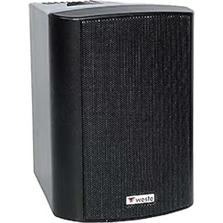 Westa WS-4TB 4 inç 100 W 2'li Trafolu Kabin Hoparlör