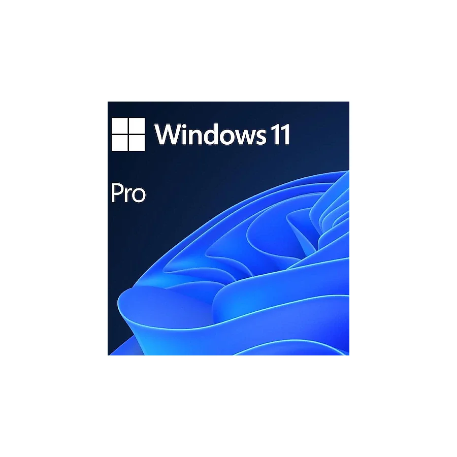 Windows 11 Pro 64 Bit Türkçe Kutulu HAV-00159 İşletim Sistemi