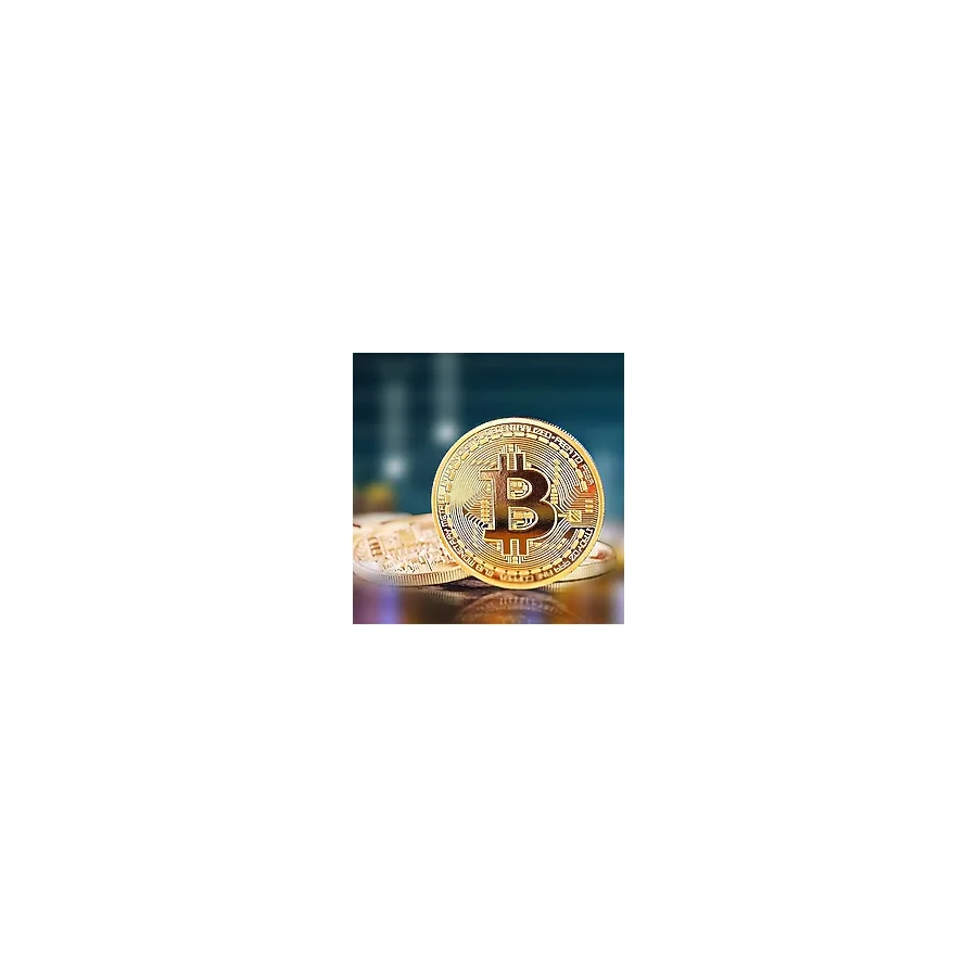 Xnews Bitcoin Madeni Hatıra Parası Madeni Bitcoin Hediye Sikke Para
