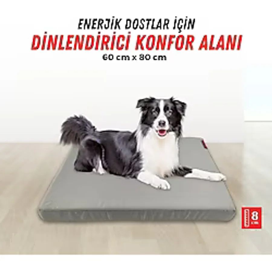 XPERMATE Patiminder Köpek Yatağı Büyük Irk Köpek Yatağı Büyük Köpek Yatakları 60X80cm - Antrasit - 60 x 80 cm