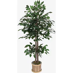 Yapay Çiçek Deposu Benjamin Ağacı 120 Cm Extra Yoğun Yaprak (AHŞAP SAKSILI)