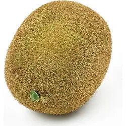 Yapay Meyve Kivi Fake Fruit