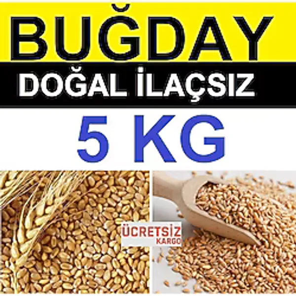 YEMLİK BUĞDAY TAVUK-GÜVERCİN KANATLI YEMİ 5 KG