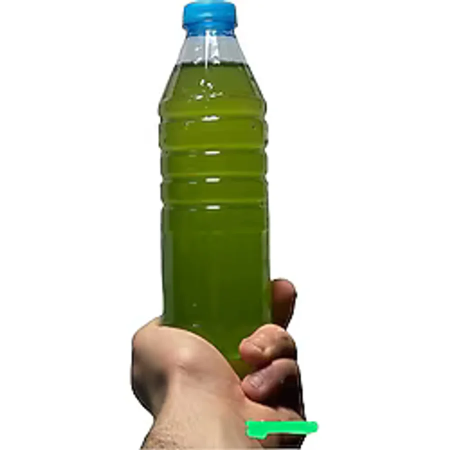 Yeşil Su Su Piresi Yemi 500 ML