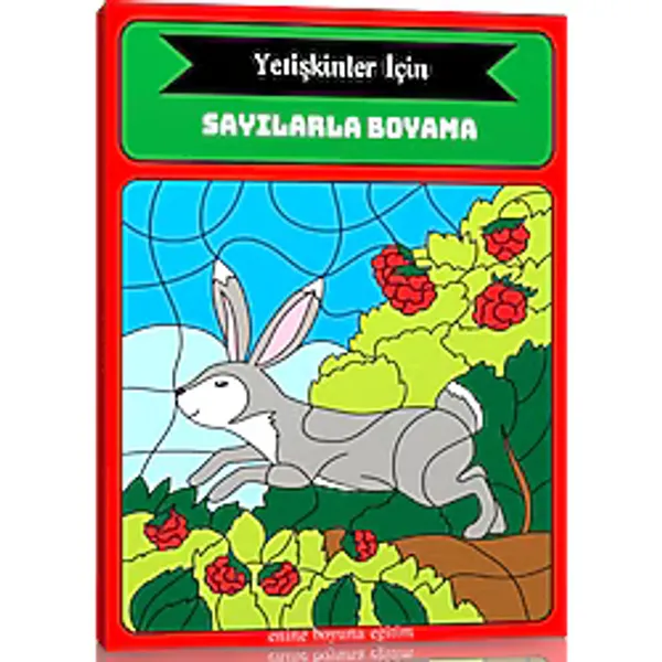 Yetişkinler İçin Sayılarla BOYAMA Kitabı