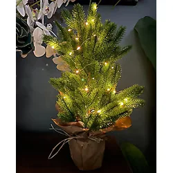 Yılbaşı Ağacı Led Işıklı Yapay Çam Ağacı Kraft Saksıda 55cm