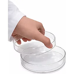 Zaglab Petri Kabı Cam 6 cm